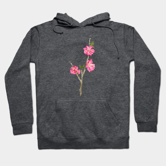 pink peach flowers Hoodie by colorandcolor